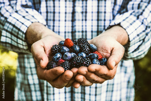 Organic fruit. Farmers hands with freshly harvested fruit. Fresh organic blackberries.