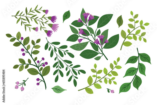 Hand drawn set of twigs with berries and leaves.