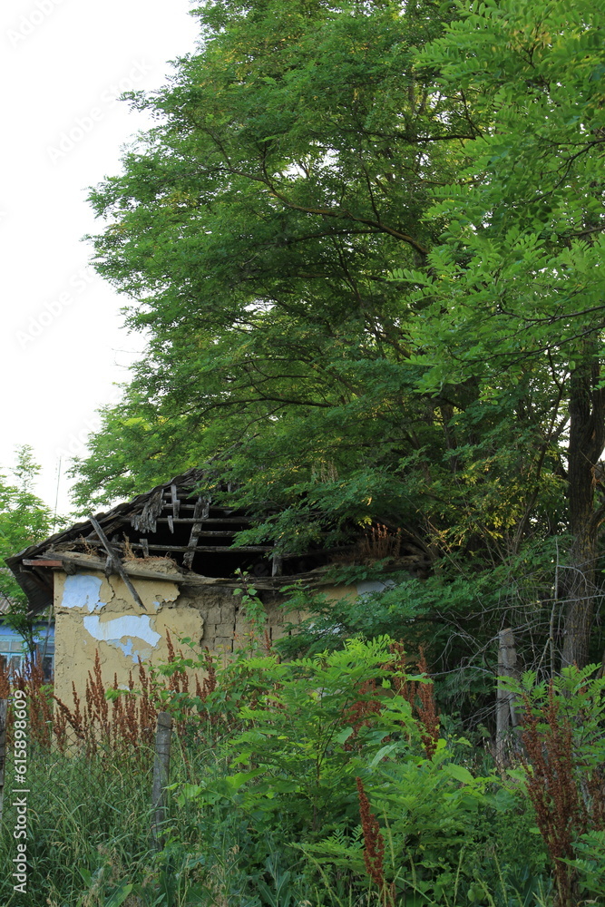 A tree house with a fence around it A tree house with a fence around it