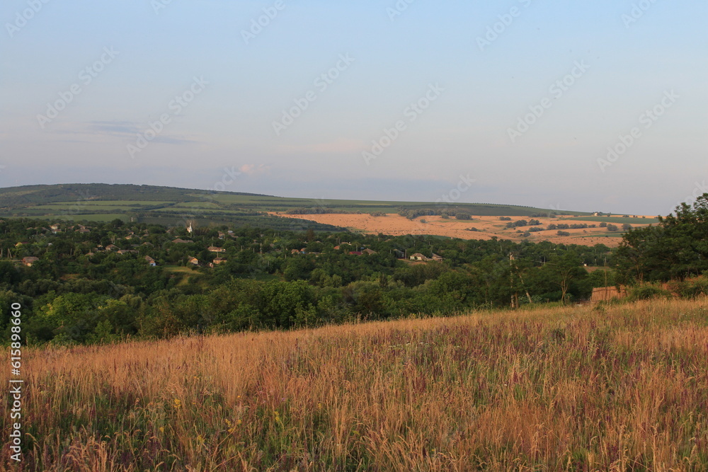Fototapeta premium A grassy field with trees