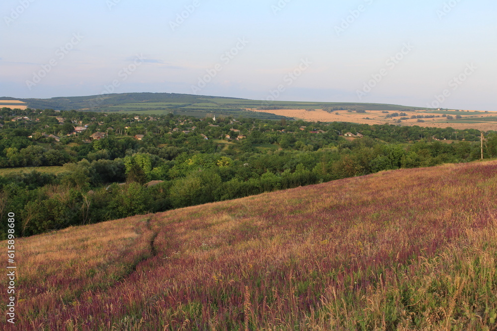 Fototapeta premium A grassy field with trees