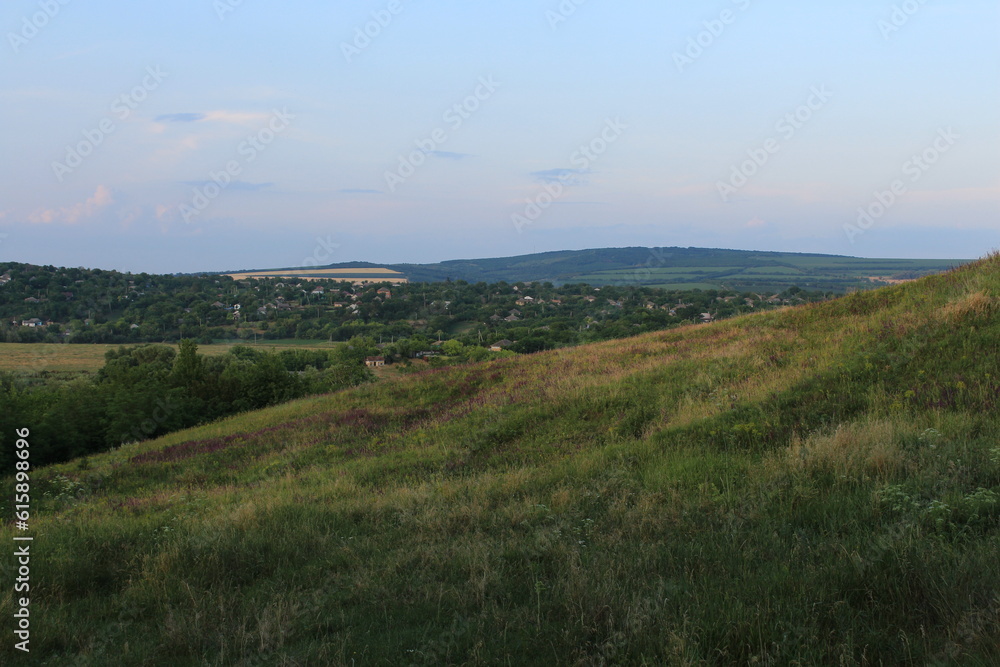 A field of grass and trees