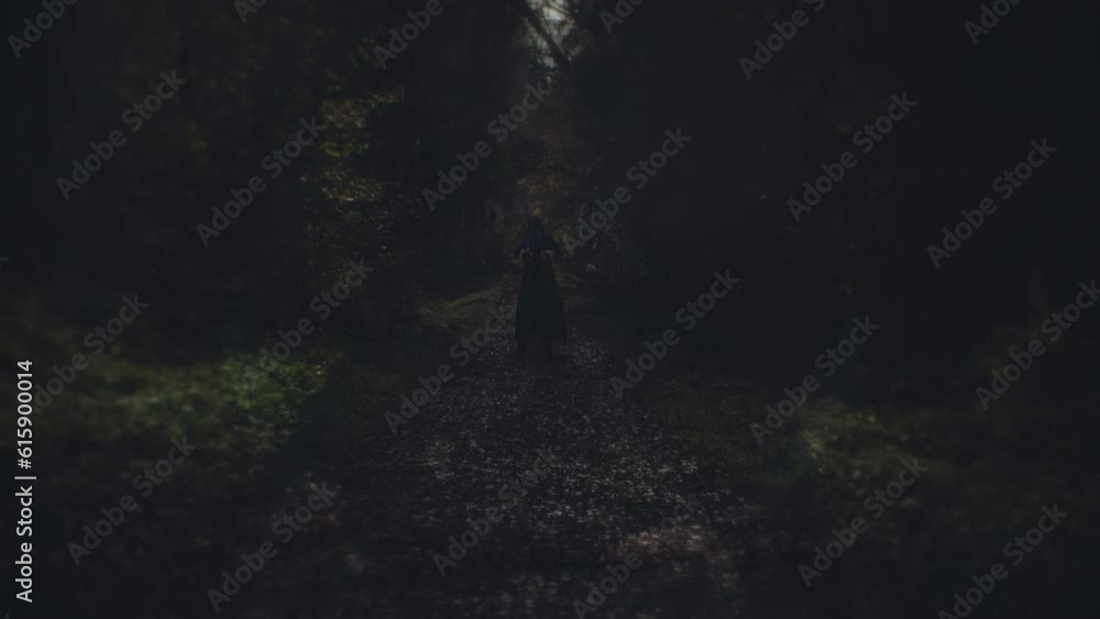 Haunted Forest Creepy Figure Sorcery Spooky Scene Zoom In. Spooky woods