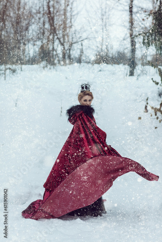 Beautiful girl in a crimson raincoat with a crown in the snow on a winter day