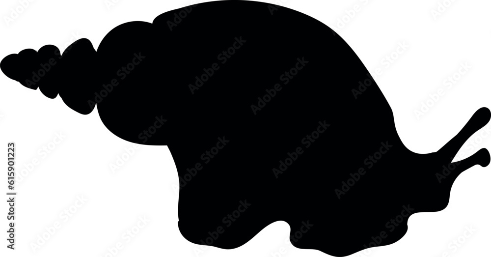 Black silhouette of African land snail (Lissachatina fulica) isolated on white background Black silhouette of African land snail (Lissachatina fulica) isolated on white background