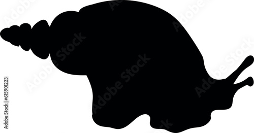 Black silhouette of  African land snail (Lissachatina fulica) isolated on white background	 photo