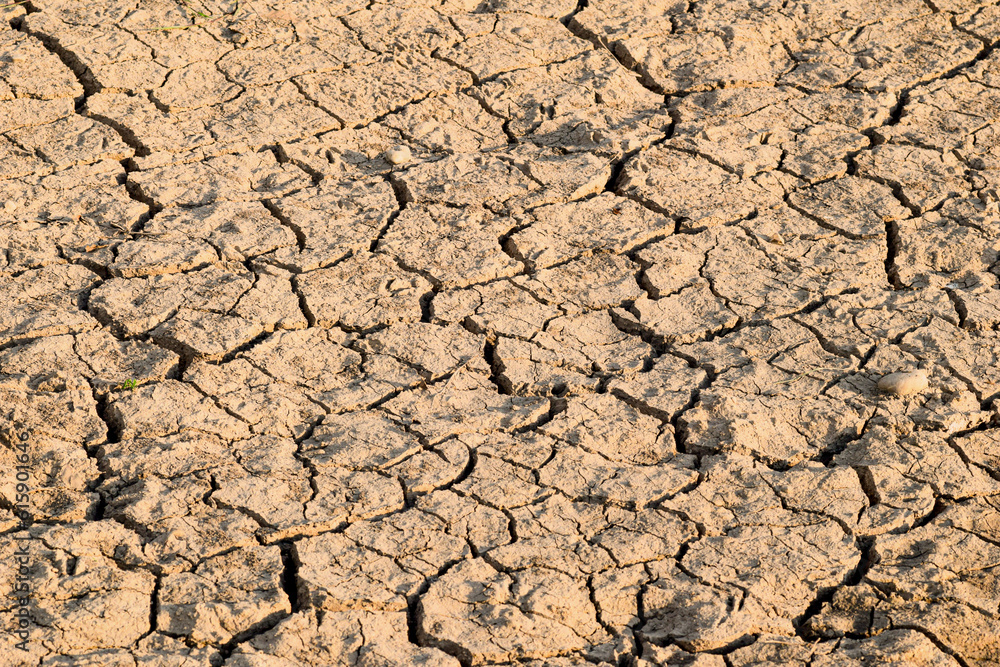 Dry cracked soil picture, idea of climat change and global warming Dry cracked soil picture, idea of climat change and global warming