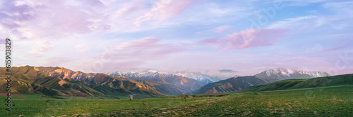 Steppe and mountains panoramic view under a pink sunset sky