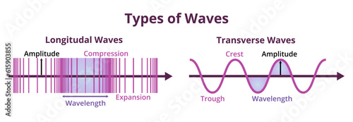illustration or diagram of types of waves. Longitudinal and transverse waves with description isolated on white. A medium or particles travel perpendicular or parallel to the direction of the wave. photo