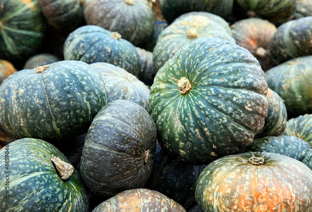 Big pumpkins. Fair of a pumpkins in California Big pumpkins. Fair of a pumpkins in California