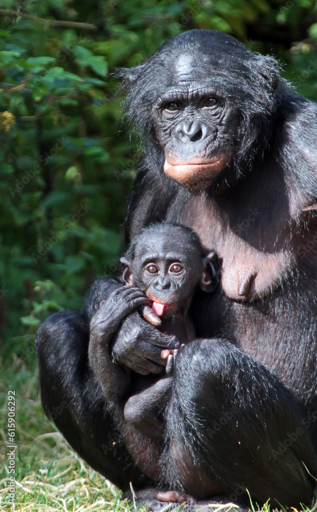 mother and baby