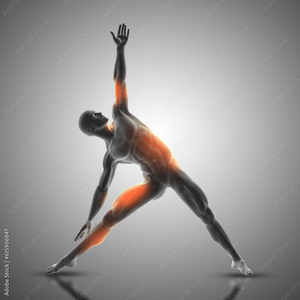 3D render of a male figure in triangle pose with muscles used highlighted 3D render of a male figure in triangle pose with muscles used highlighted