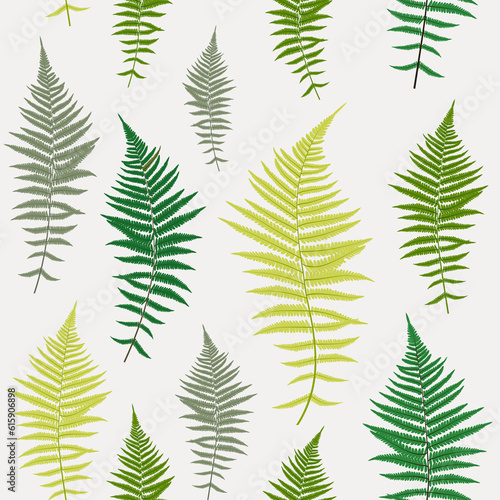 Fern Leaf Vector Fern Leaf Vector Seamless Pattern Background Illustration EPS10