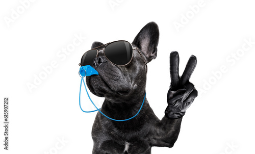 referee arbitrator umpire french bulldog dog blowing blue whistle in mouth  whit peace or victory fingers , isolated on white background © Designpics