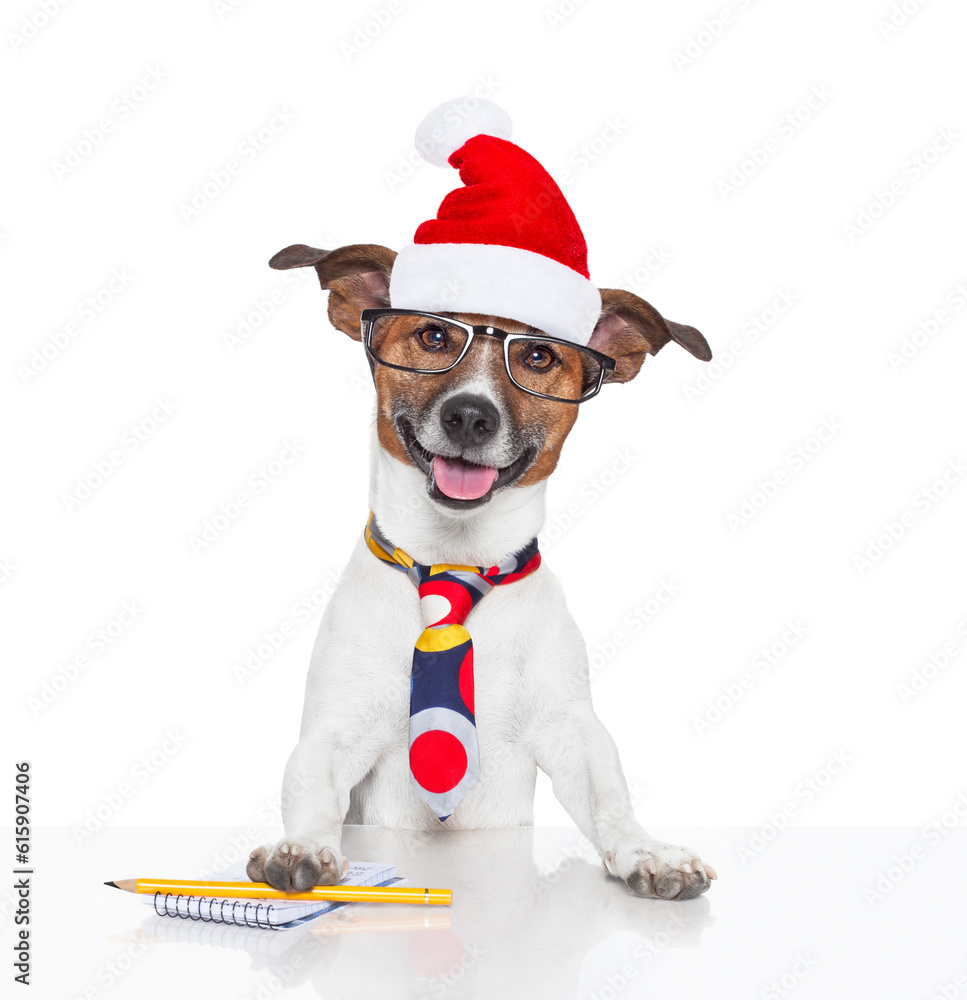 jack russell boss or business dog in office desk  at christmas holidays with santa claus hat and reading glasses
