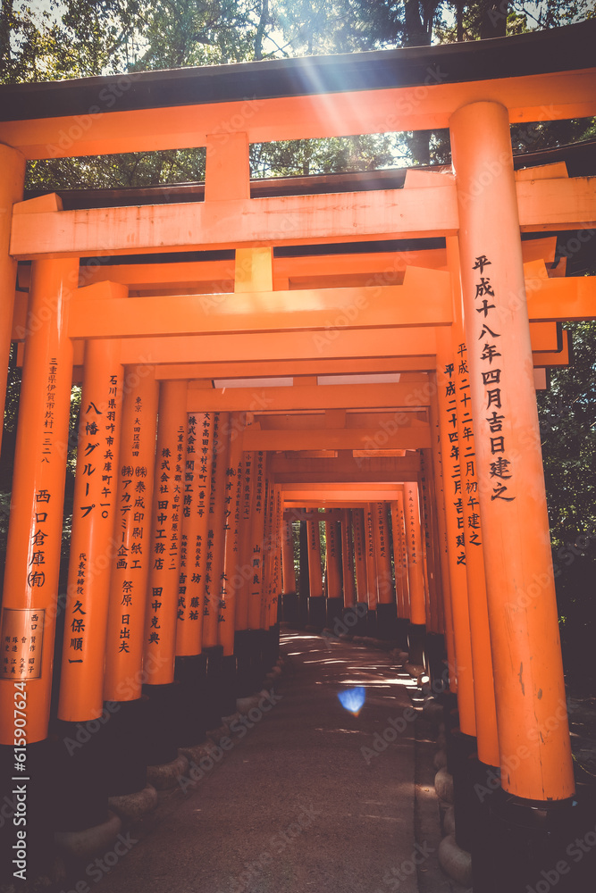 Fushimi Inari Taisha torii shrine, Kyoto, Japan