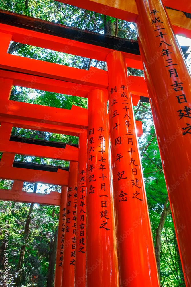 Fushimi Inari Taisha torii shrine, Kyoto, Japan