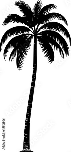Palm Vector Illustration