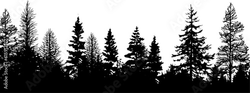 Tree Nature