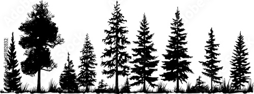 Tree Landscape