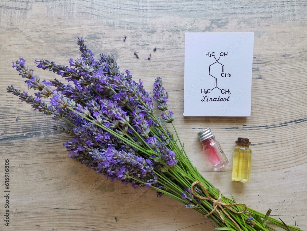 Structural chemical formula of linalool with fresh lavender flowers and