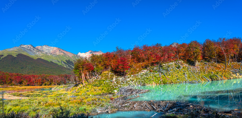 Gorgeous landscape of Patagonia's Tierra del Fuego National Park in Autumn, 2017