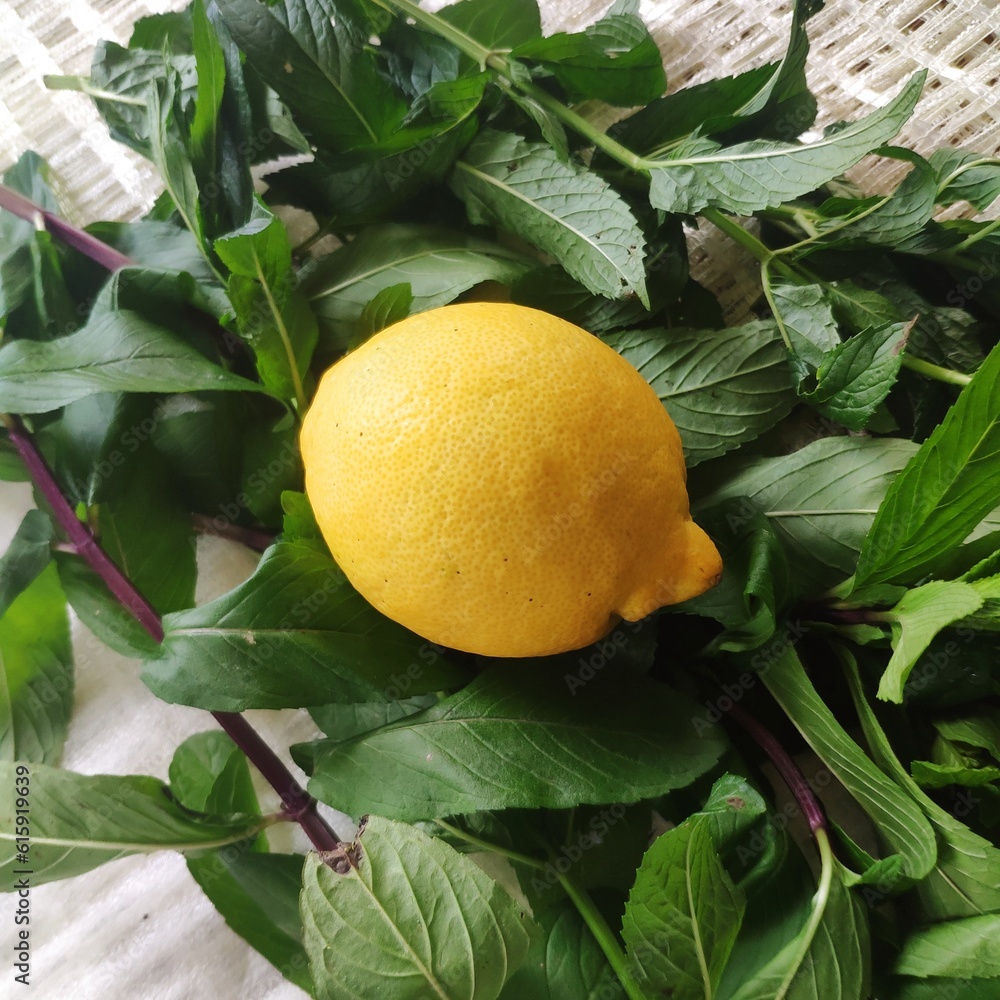 Lemon on mint leaves
