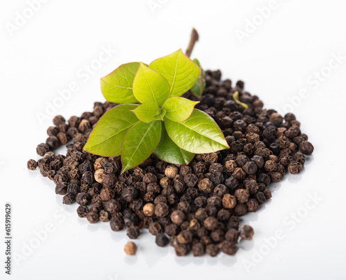 young bay leaves on a hill of black pepper, isolated on a white background. 