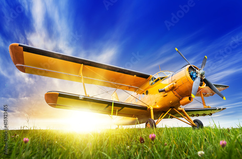 historic biplane on a meadow against a sunset