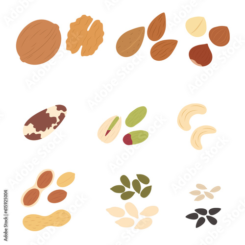 Nuts and seeds in flat design, set. Collection of nuts, seeds icons