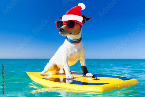 santa claus dog surfing on a surfboard wearing sunglasses  and red christmas hat  at the ocean shore on vacation holidays © Designpics