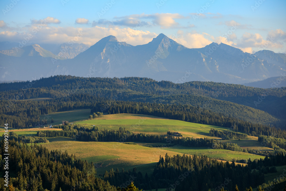 Naklejka premium Spisz region: Green Meadows on the hills in front of Tatra mountains