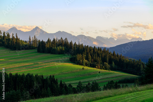 Spisz region: Green Meadows and forest on the hills in front of Tatra mountains