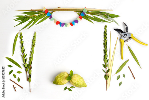 Jewish holiday of Sukkot. Traditional symbols  (citron), lulav (palm branch), hadas (myrtle), arava (willow), colorful decorations, garden pruner photo
