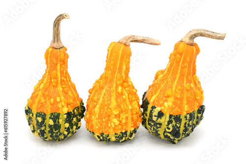 Three pear-shaped orange and green ornamental gourds with large warty lumps and bold stripes, isolated on a white background