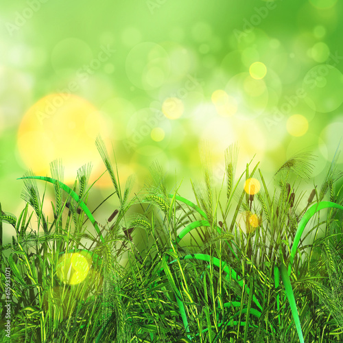 3D render of a green grass and wheat on a bokeh lights background