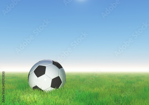 3D render of a football nestled in grass