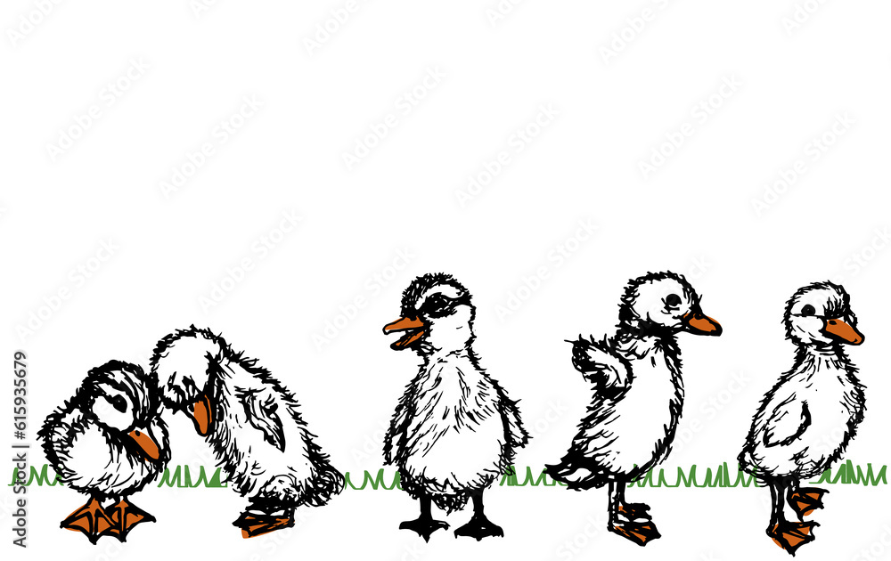 vector image vector image