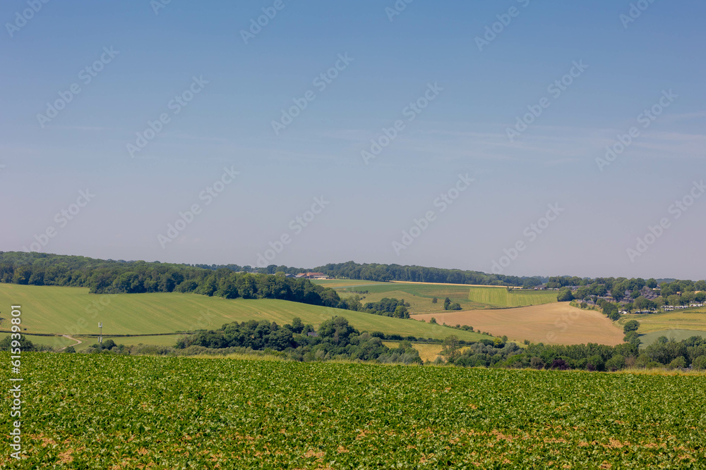 Summer landscape, The terrain of hilly countryside in Zuid-Limburg, Small houses on hillside with green grass meadow and farmland, Gulpen-Wittem is a villages in Dutch province of Limburg, Netherlands
