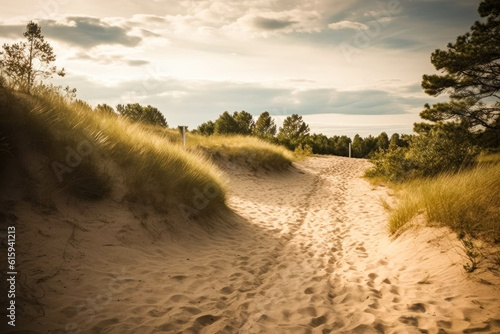 A sandy path amidst grassy dunes by the sea
