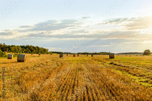 Scenic view of hay stacks on sunny day (Prince Edward Island, Canada)