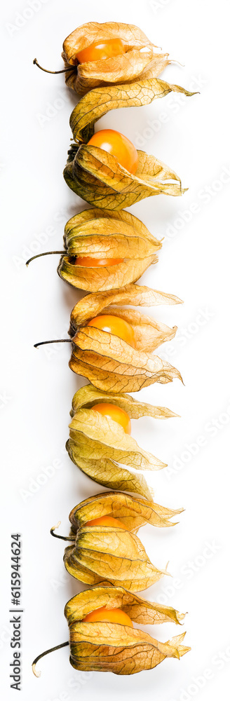 Several berries of physalis on a white background. Top view Several berries of physalis on a white background. Top view