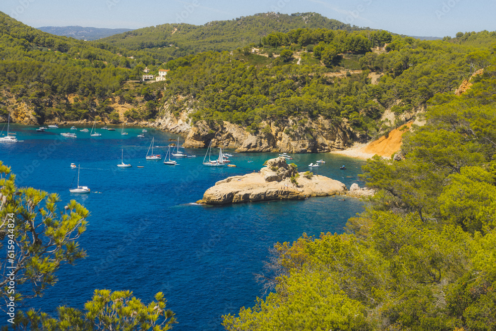 sea landscape trees and palm trees in a sunny summer to enjoy the sun in the coves of france bandol