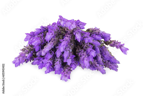 bundle of lavender flowers isolated on white background