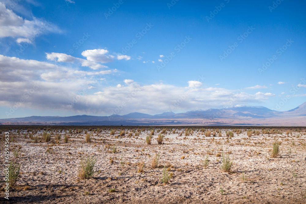 Wild desert landscape in San Pedro de Atacama, Chile Wild desert landscape in San Pedro de Atacama, Chile