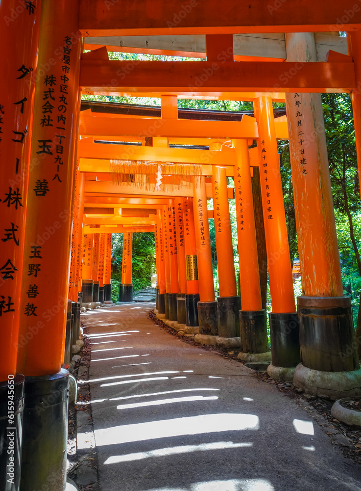 Fushimi Inari Taisha torii shrine, Kyoto, Japan Fushimi Inari Taisha torii shrine, Kyoto, Japan