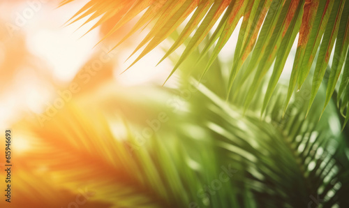 Photo of sun rays passing through the lush green palm tree leaves, beach summer concept, background