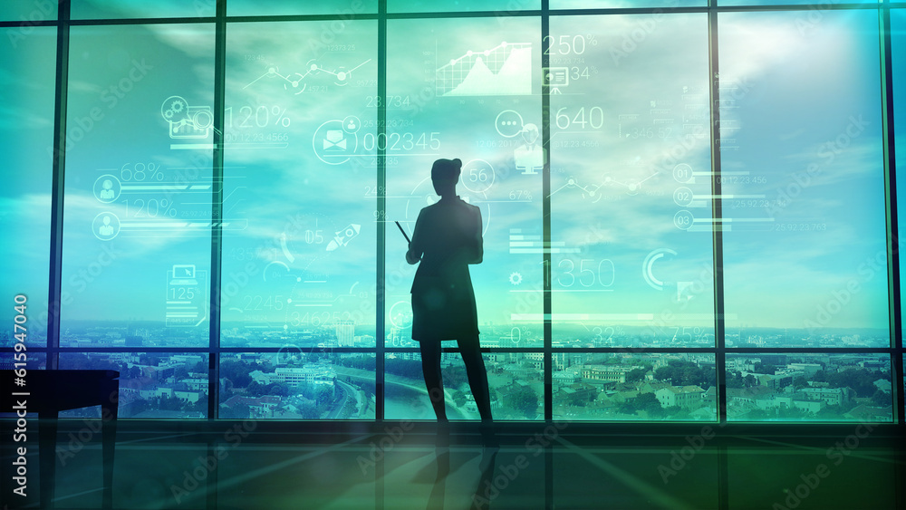 The pictures file illustrates the silhouette of a business woman on the background of corporate infographics. The pictures file illustrates the silhouette of a business woman on the background of corporate infographics.