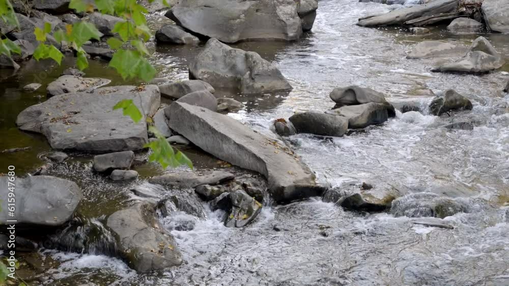 Outdoors at a peaceful rocky creek in late summer; nature, woods, landscape Outdoors at a peaceful rocky creek in late summer; nature, woods, landscape