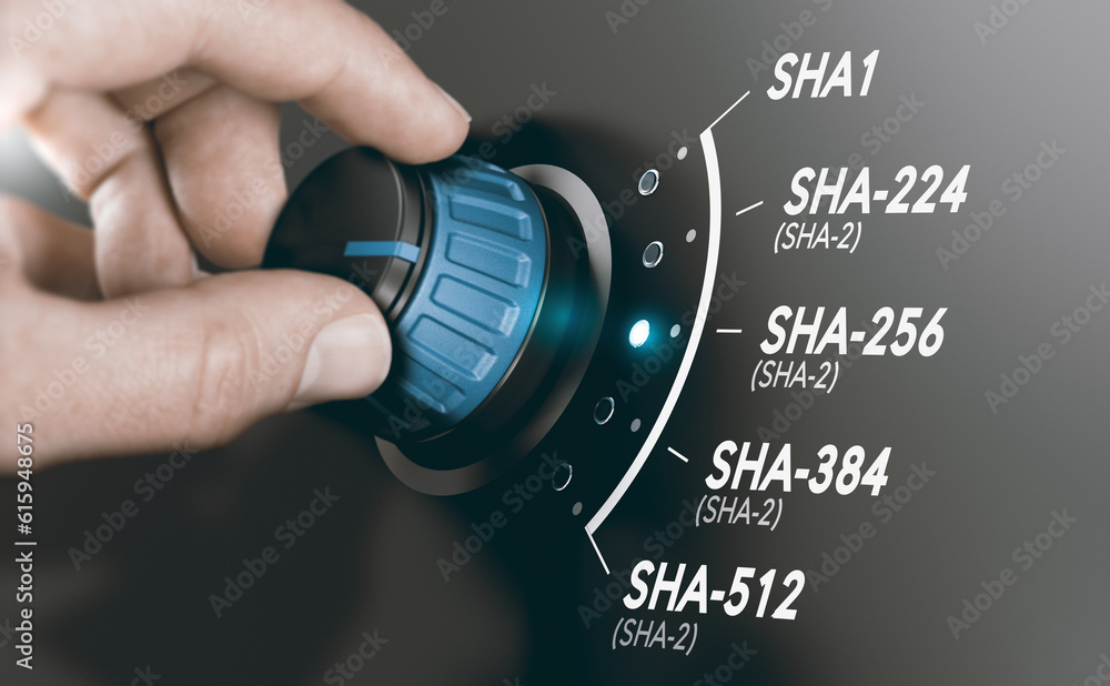 Man turning a cryptography switch to change the cryptographic hash algorithm to SHA-256. Composite image between a hand photography and a 3D background. - obrazy, fototapety, plakaty 